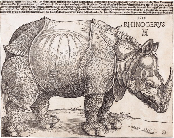 The_Rhinoceros_(NGA_1964.8.697)_enhanced