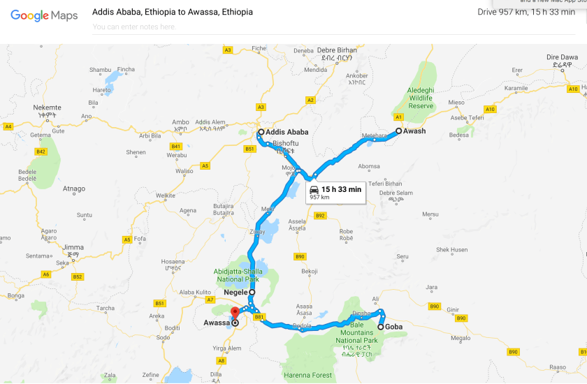 Screen Shot 2019-03-04 at 10.19.22 AM