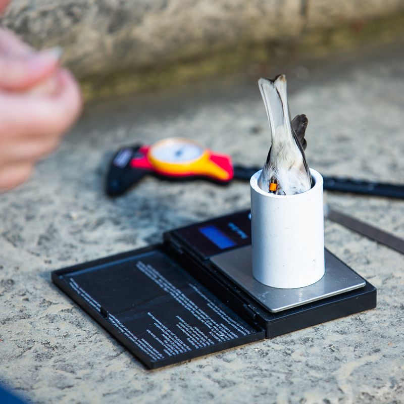 d41586-020-00276-1_17602046